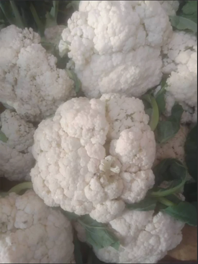 s blob v1 IMAGE mG8 EHf kjo